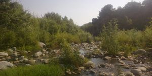 Sul cammino del pastore.Davoli marina - Davoli superiorie. Risalendo la fiumara Melis.